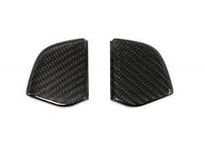 Mercedes Benz SLK Lateral Insert Door Cover - Carbon Fiber - R172